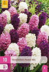 Hyacinthus pastel mix 10st - afbeelding 2