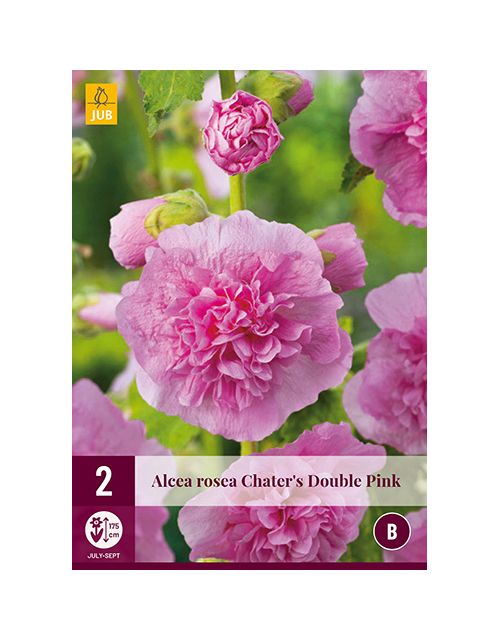 JUB Alcea Rosea Chater's Double Pink 2 stuks