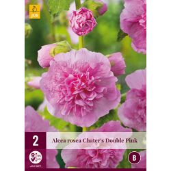 JUB Alcea Rosea Chater's Double Pink 2 stuks