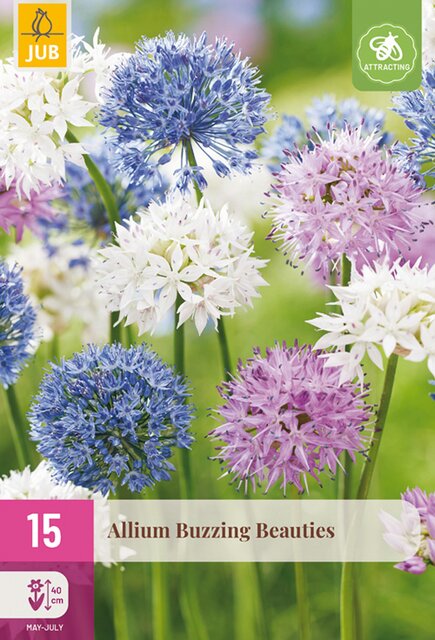 JUB Allium buzzing beauties 15st