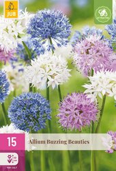 JUB Allium buzzing beauties 15st