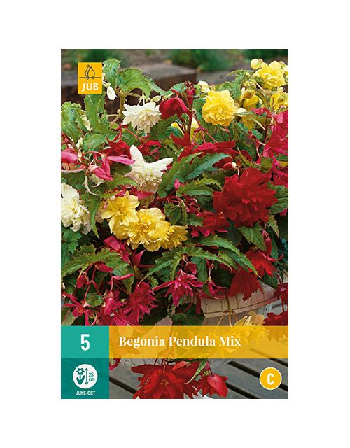JUB Begonia Pendula Mix 5 stuks