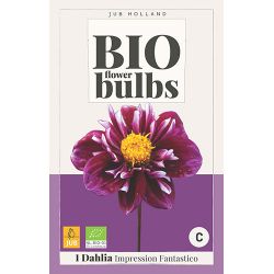 JUB Bio Dahlia Impression Fantastico 1 stuk