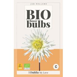 JUB Bio Dahlia My Love 1 stuk