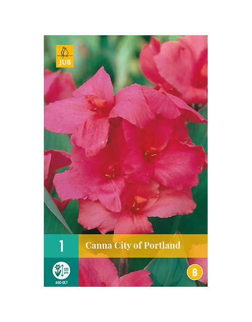 JUB Canna City Of Portland 1 stuk