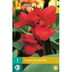 JUB Canna Red Dazzler 1 stuk