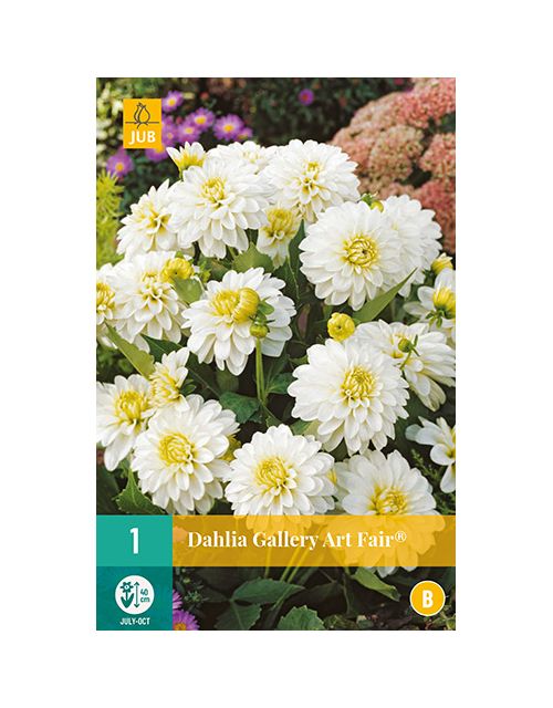 JUB Dahlia Gallery Art Fair® 1 stuk
