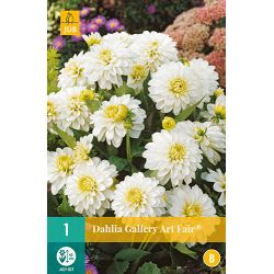 JUB Dahlia Gallery Art Fair® 1 stuk