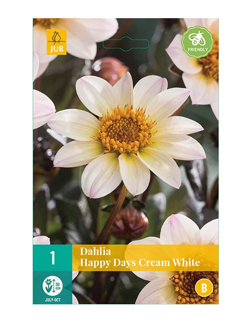 JUB Dahlia Happy Days Cream White 1 stuk