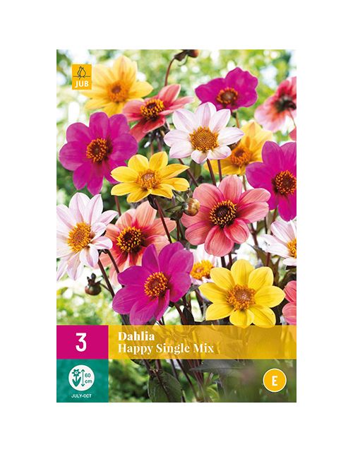 JUB Dahlia Happy Single Mix 3 stuks