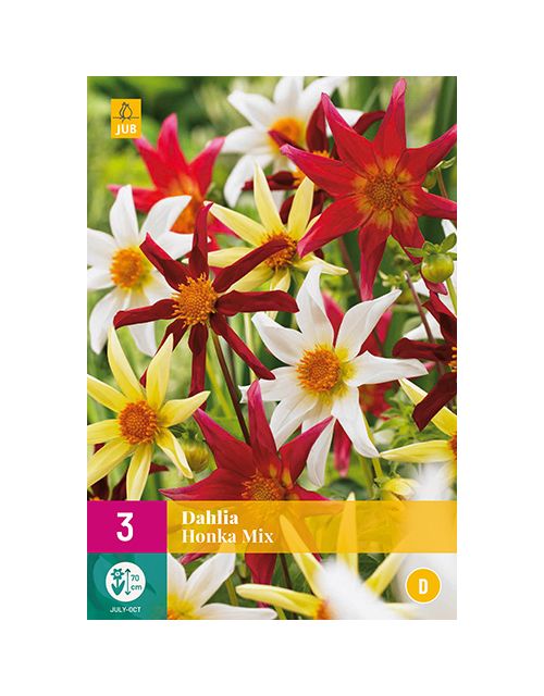 JUB Dahlia Honka Mix 3 stuks
