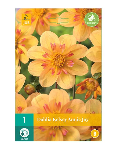 JUB Dahlia Kelsey Annie Joy 1 stuk