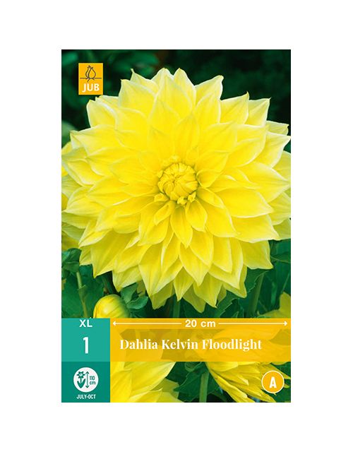 JUB Dahlia Kelvin Floodlight 1 stuk