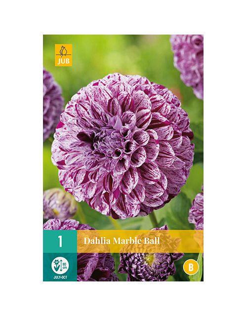 JUB Dahlia Marble Ball 1 stuk