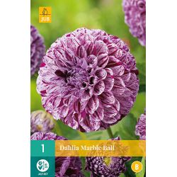 JUB Dahlia Marble Ball 1 stuk