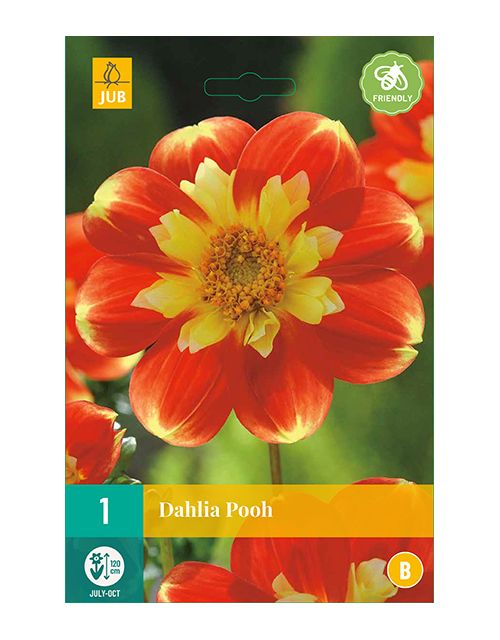 JUB Dahlia Pooh 1 stuk
