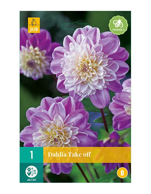 JUB Dahlia Take Off 1 stuk