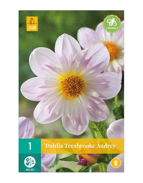 JUB Dahlia Teesbrooke Audrey 1 stuk