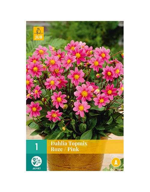JUB Dahlia Topmix Roze 1 stuk