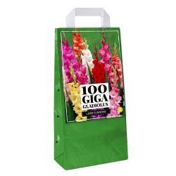 JUB Draagtas Gladiolus Mix 100 stuks