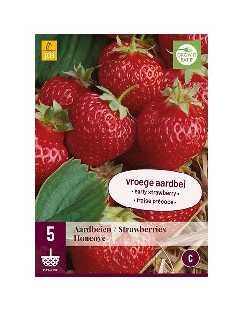 JUB Fragaria Honeoye 5 stuks