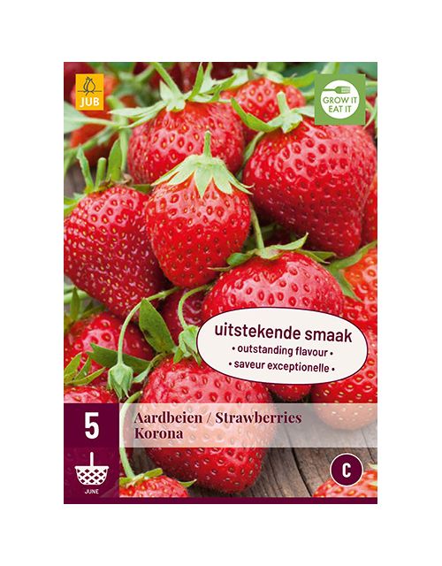 JUB Fragaria Korona 5 stuks