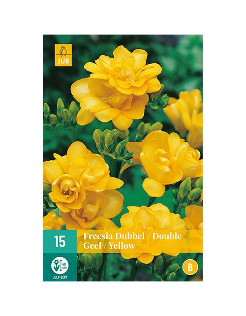JUB Freesia Dubbel Geel 1 stuk