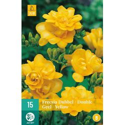 JUB Freesia Dubbel Geel 1 stuk