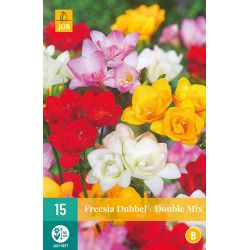JUB Freesia Dubbel Mix 1 stuk