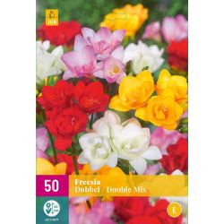 JUB Freesia Dubbel Mix 5 stuks