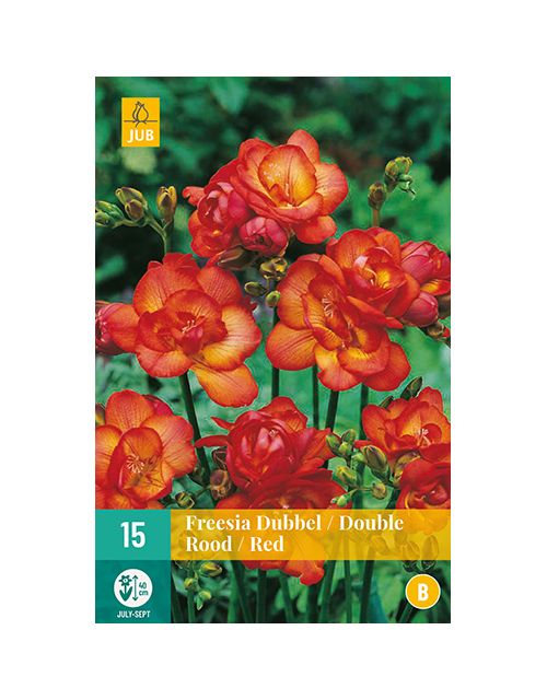 JUB Freesia Dubbel Rood 1 stuk