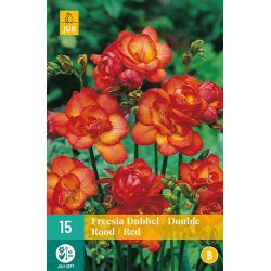 JUB Freesia Dubbel Rood 1 stuk