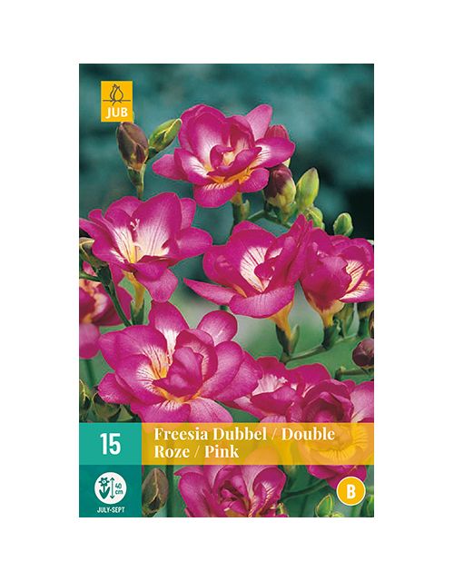 JUB Freesia Dubbel Roze 1 stuk