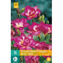 JUB Freesia Dubbel Roze 1 stuk