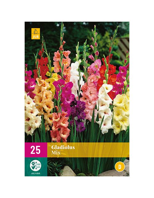JUB Gladiolus Mix 2 stuks