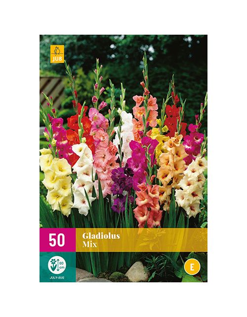 JUB Gladiolus Mix 5 stuks