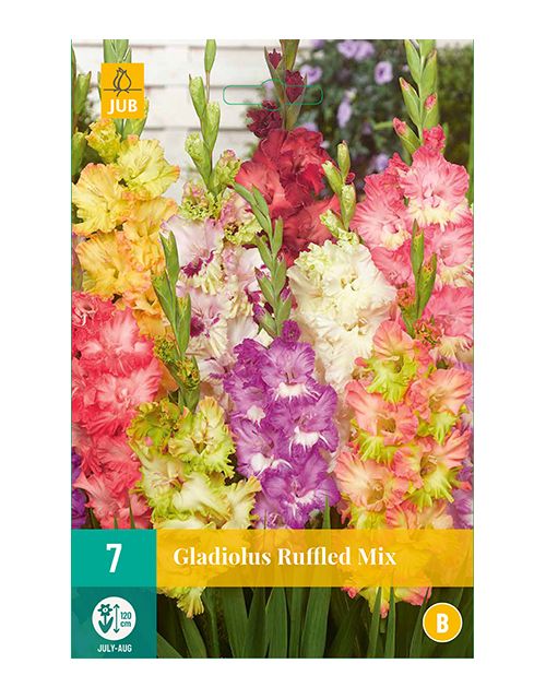 JUB Gladiolus Ruffled Mix 7 stuks