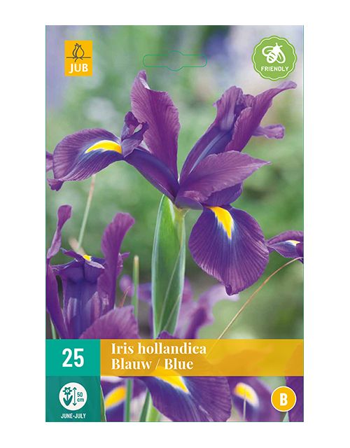 JUB Iris Hollandica Blauw 2 stuks