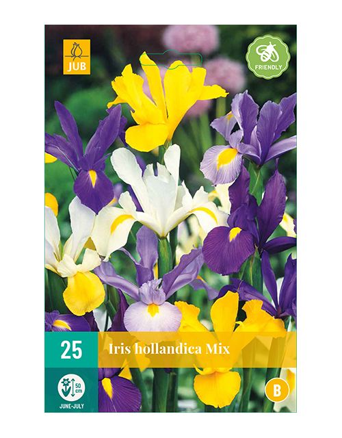 JUB Iris Hollandica Mix 2 stuks