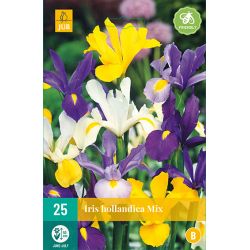 JUB Iris Hollandica Mix 2 stuks