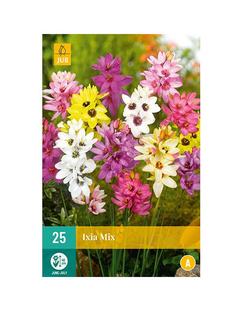 JUB Ixia Mix 2 stuks