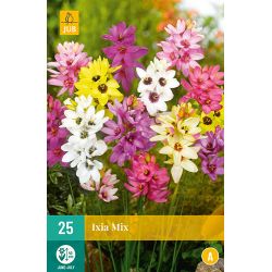 JUB Ixia Mix 2 stuks