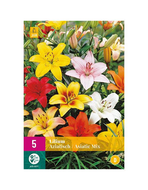 JUB Lelies Aziatisch Mix 5 stuks