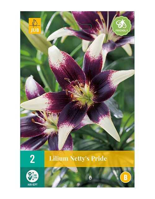 JUB Lilium Netty'S Pride 2 stuks