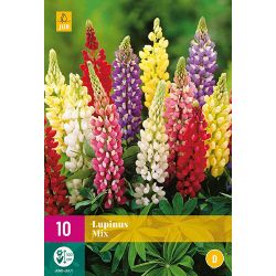 JUB Lupinus Mix 1 stuk