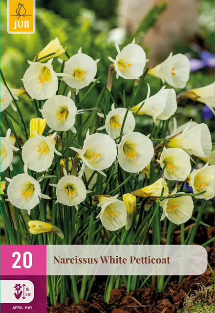 JUB Narcissus white petticoat 20st