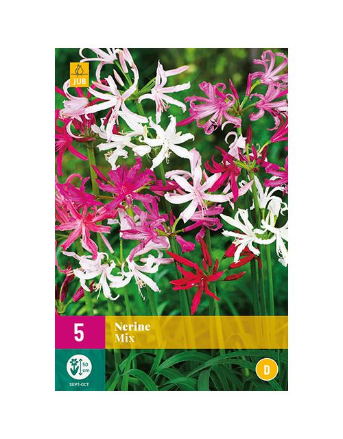 JUB Nerine Mix 5 stuks