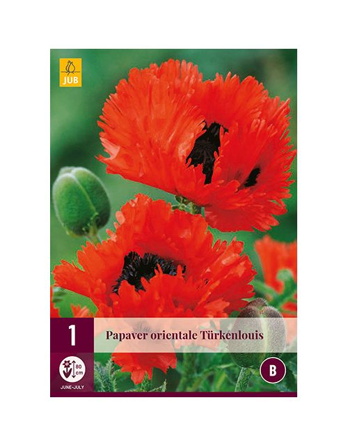 JUB Papaver Orientale Türkenlouis 1 stuk