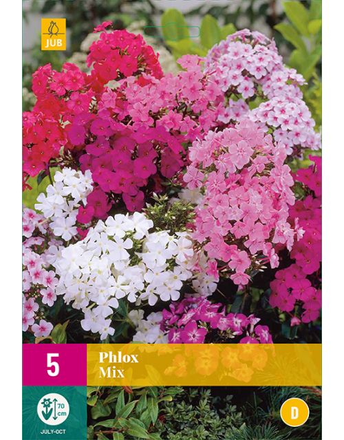 JUB Phlox Mix 5 stuks