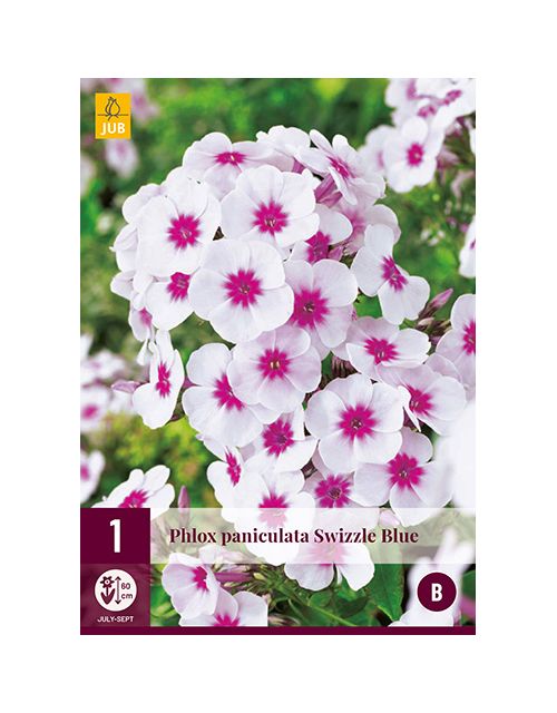 JUB Phlox Paniculata Swizzle Blue 1 stuk
